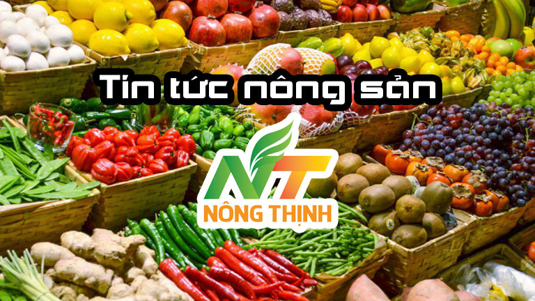 Tin tức & Sự kiện