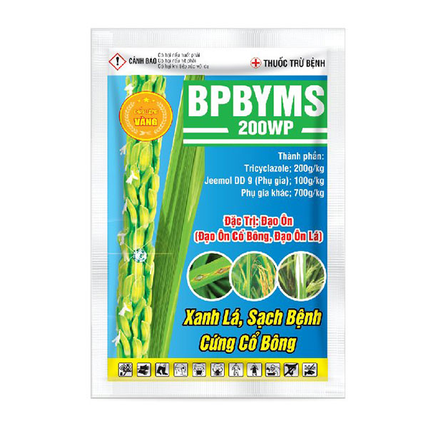 BPBYMS 